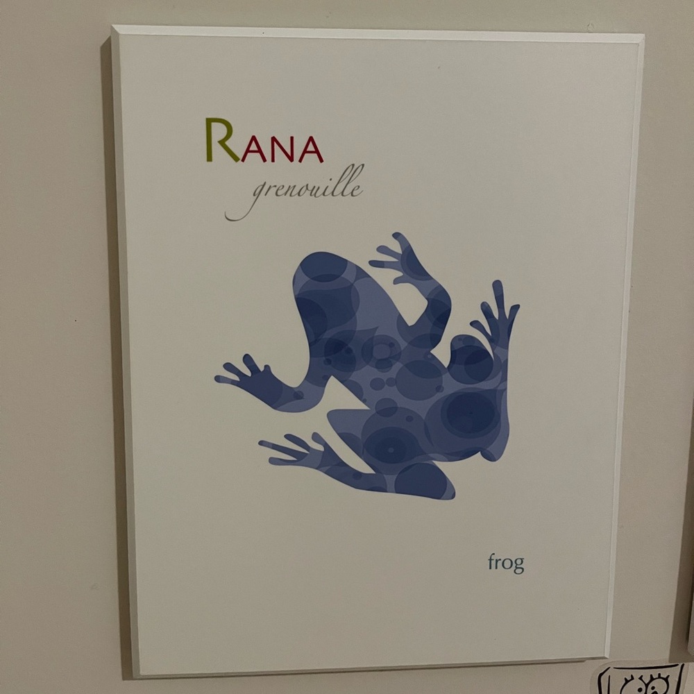 Wall art for nursery Rana/ frog